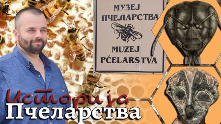 Историја и музеј пчеларства Александар Митић
